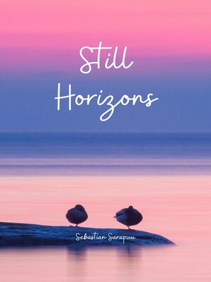cover image of Still Horizons
